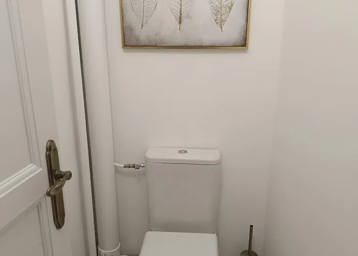 Brifaut Appartement Dijon